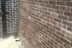 ea661d4a-bd12-46a4-8fef-429ea7b4ad7c